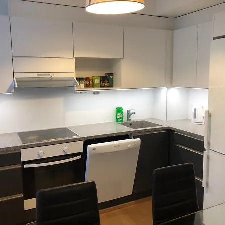 Apartment Lonnrotinkatu *
